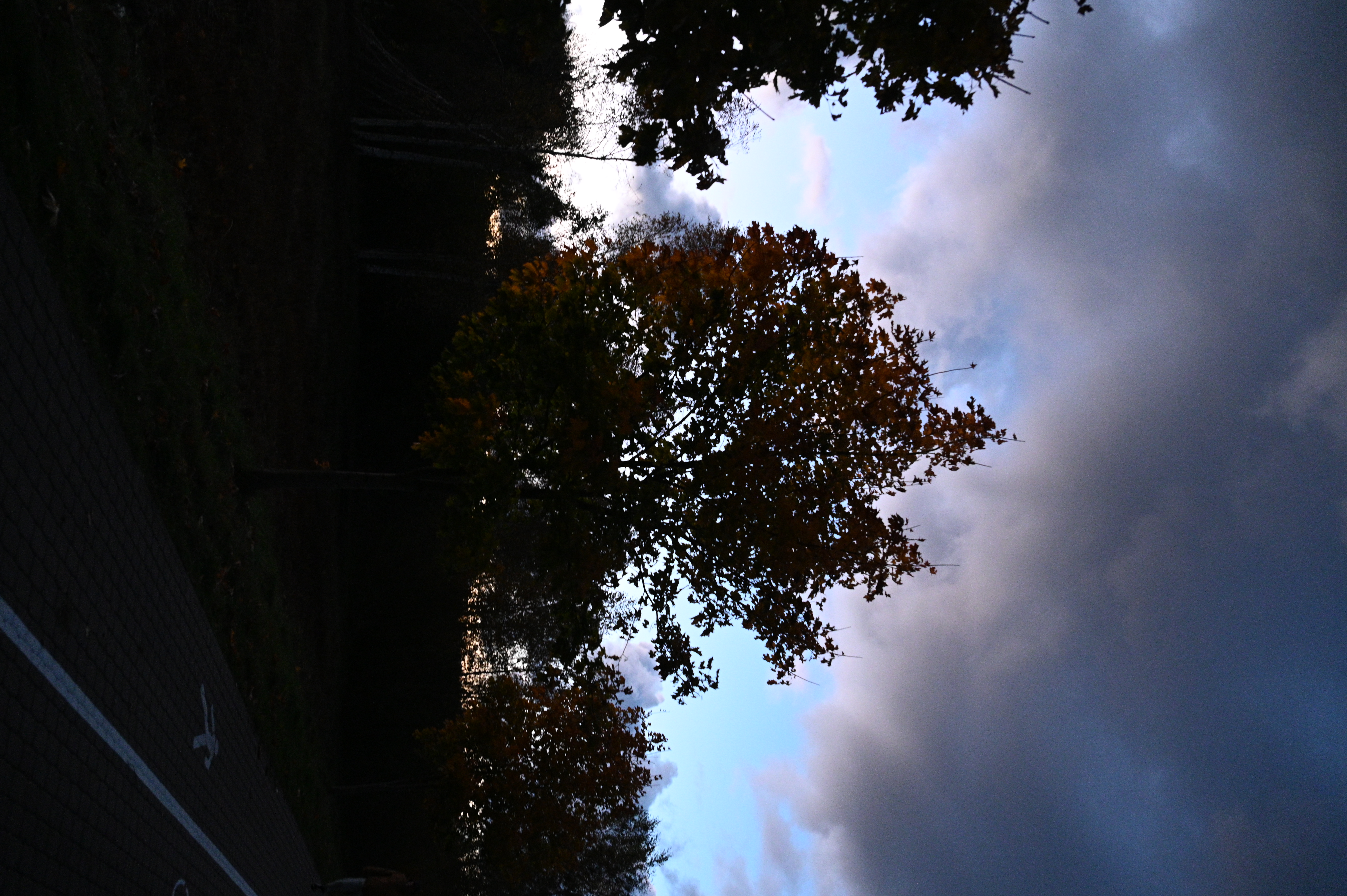 2025/10/18 - walk/DSC_0660.JPG